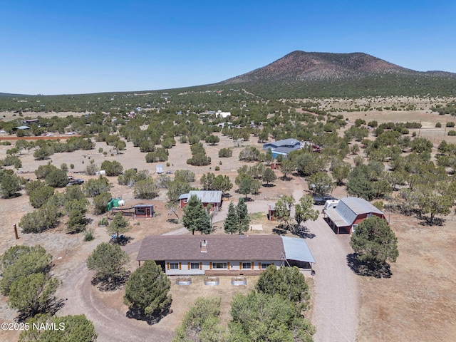2941 E Hoctor Rd, Williams, AZ 86046 - photo 36
