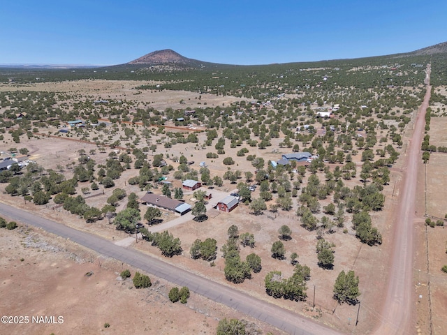 2941 E Hoctor Rd, Williams, AZ 86046 - photo 41