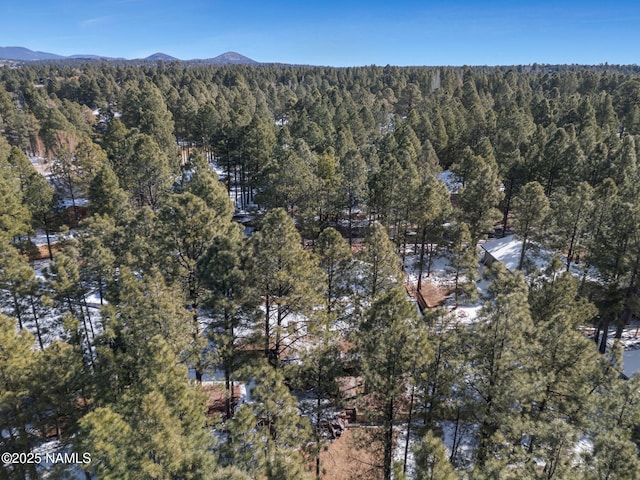 aerial view featuring a forest view and a mountain view