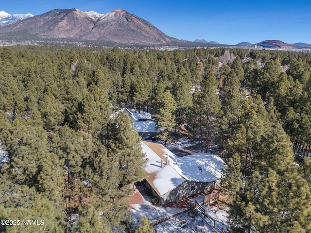 birds eye view of property with a mountain view and a wooded view