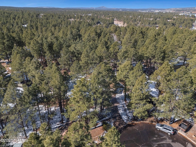 birds eye view of property with a wooded view