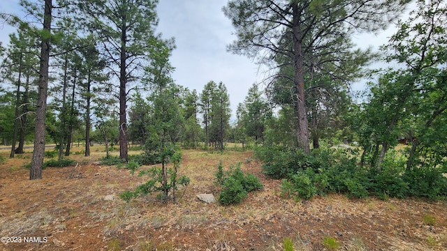 2940 Roundup Cir, Happy Jack AZ, 86024 land for sale