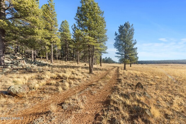 1668 N Transwestern Pump Rd, Bellemont, AZ 86015 - photo 32