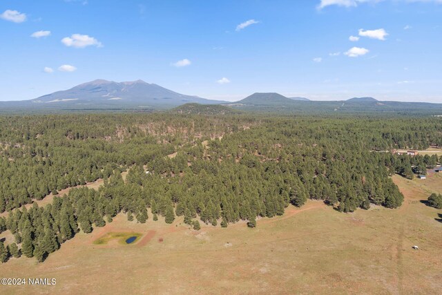 1668 N Transwestern Pump Rd, Bellemont, AZ 86015 - photo 10