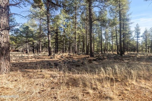 1668 N Transwestern Pump Rd, Bellemont, AZ 86015 - photo 25