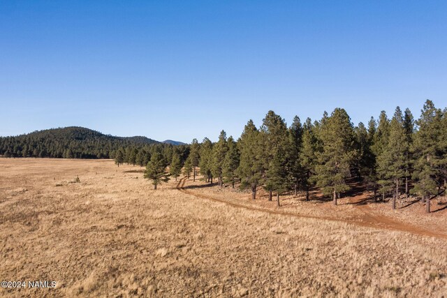 1668 N Transwestern Pump Rd, Bellemont, AZ 86015 - photo 15