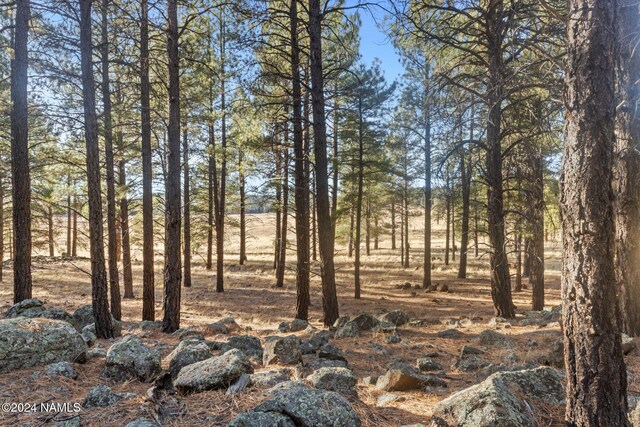 1668 N Transwestern Pump Rd, Bellemont, AZ 86015 - photo 29