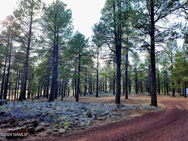 1668 N Transwestern Pump Rd, Bellemont, AZ 86015 - photo 38