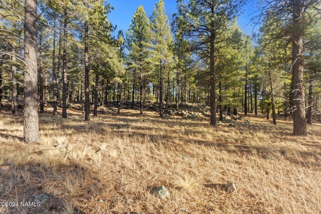 1668 N Transwestern Pump Rd, Bellemont, AZ 86015 - photo 36