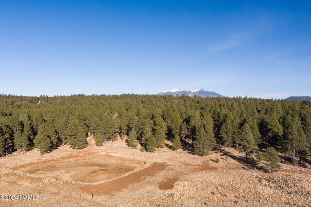 1668 N Transwestern Pump Rd, Bellemont, AZ 86015 - photo 4