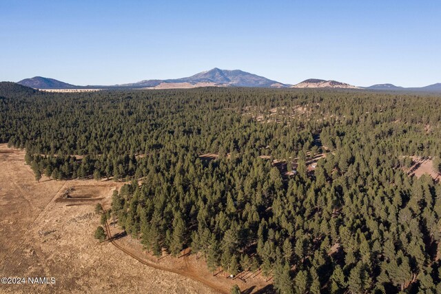 1668 N Transwestern Pump Rd, Bellemont, AZ 86015 - photo 5