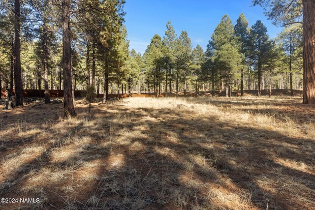 1668 N Transwestern Pump Rd, Bellemont, AZ 86015 - photo 22