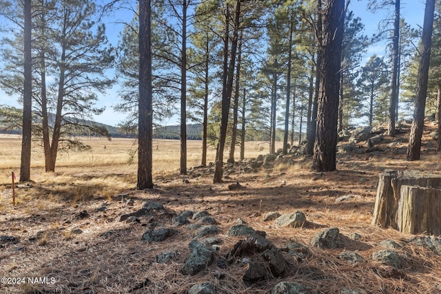 1668 N Transwestern Pump Rd, Bellemont, AZ 86015 - photo 31