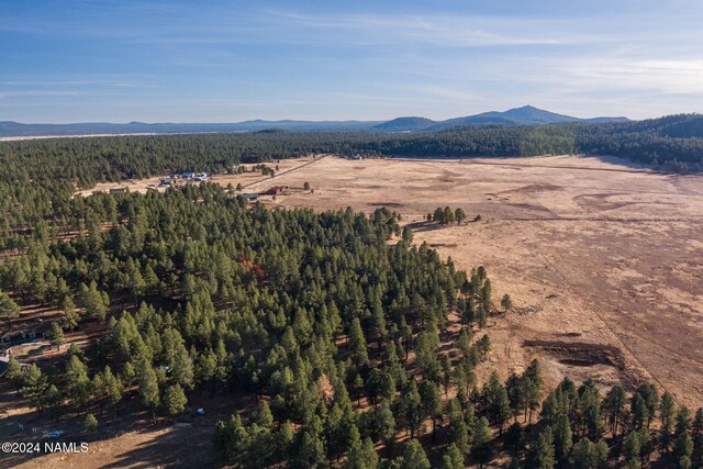 1668 N Transwestern Pump Rd, Bellemont, AZ 86015 - photo 7