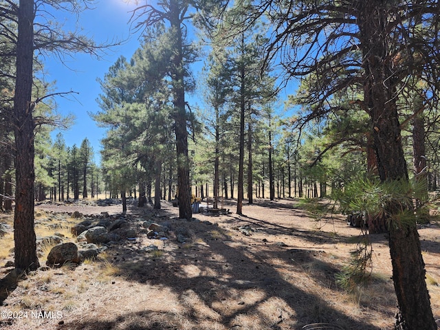 1668 N Transwestern Pump Rd, Bellemont, AZ 86015 - photo 20