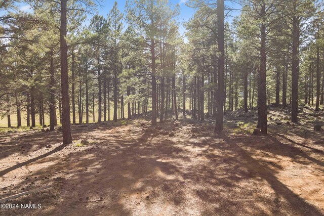 1668 N Transwestern Pump Rd, Bellemont, AZ 86015 - photo 18