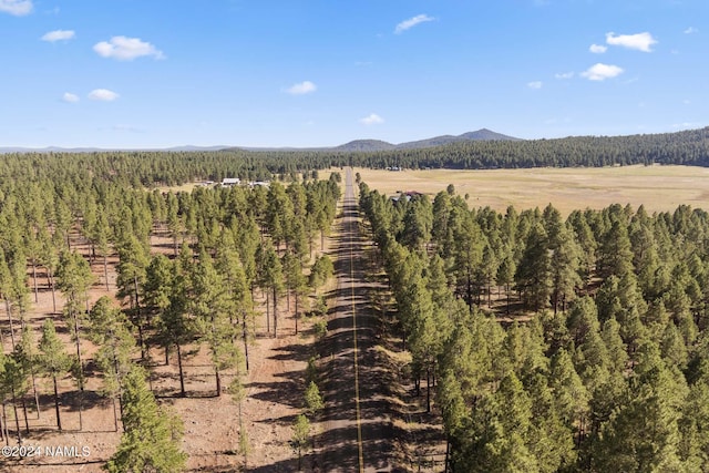 1668 N Transwestern Pump Rd, Bellemont, AZ 86015 - photo 14