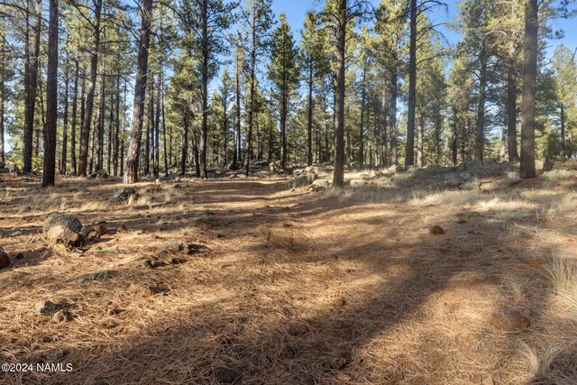 1668 N Transwestern Pump Rd, Bellemont, AZ 86015 - photo 30