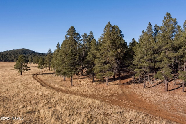1668 N Transwestern Pump Rd, Bellemont, AZ 86015 - photo 16