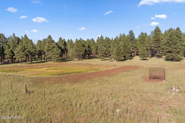 1668 N Transwestern Pump Rd, Bellemont, AZ 86015 - photo 12