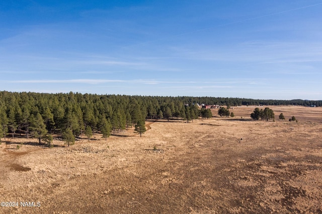 1668 N Transwestern Pump Rd, Bellemont, AZ 86015 - photo 8