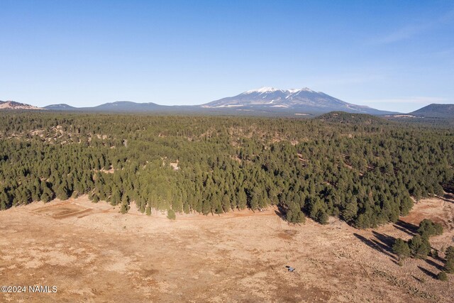 1668 N Transwestern Pump Rd, Bellemont, AZ 86015 - photo 6