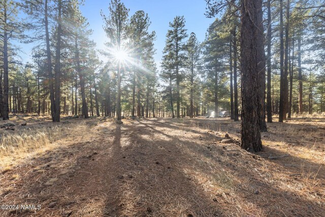1668 N Transwestern Pump Rd, Bellemont, AZ 86015 - photo 26