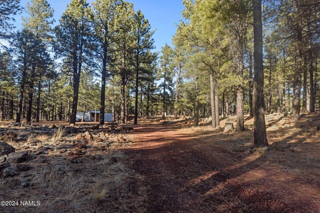 1668 N Transwestern Pump Rd, Bellemont, AZ 86015 - photo 24