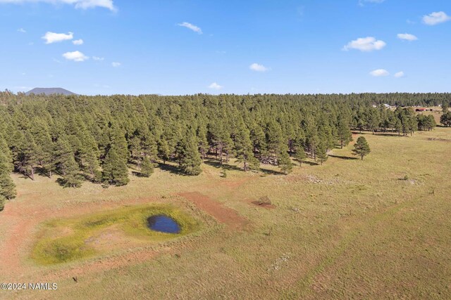 1668 N Transwestern Pump Rd, Bellemont, AZ 86015 - photo 11