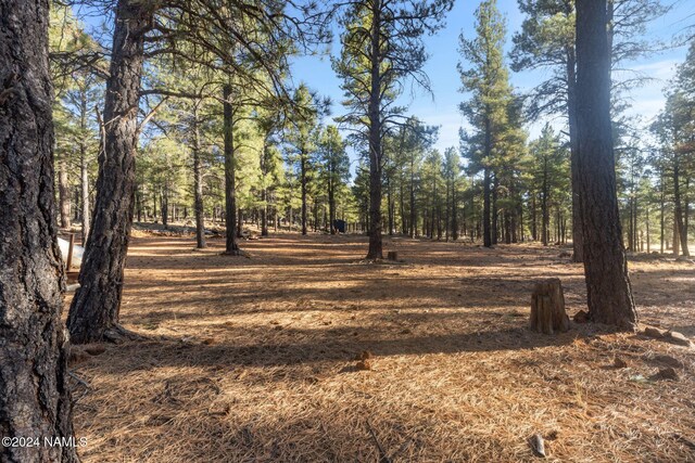 1668 N Transwestern Pump Rd, Bellemont, AZ 86015 - photo 27