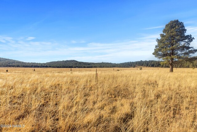 1668 N Transwestern Pump Rd, Bellemont, AZ 86015 - photo 34