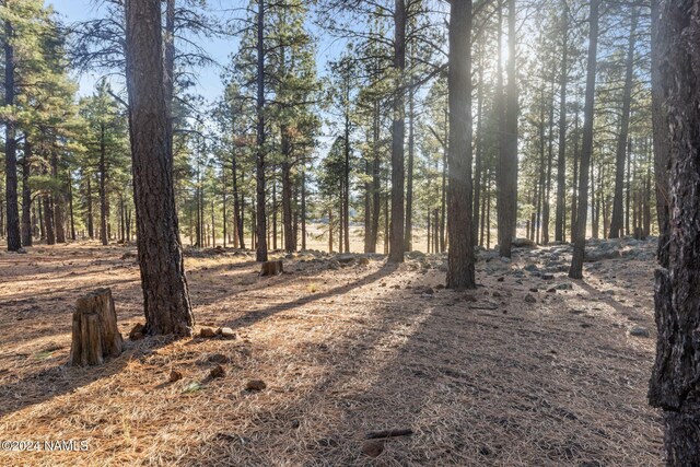 1668 N Transwestern Pump Rd, Bellemont, AZ 86015 - photo 28