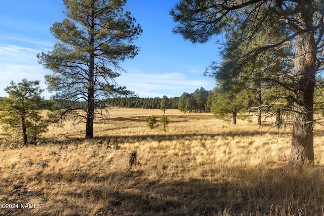 1668 N Transwestern Pump Rd, Bellemont, AZ 86015 - photo 35