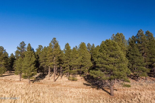 1668 N Transwestern Pump Rd, Bellemont, AZ 86015 - photo 17