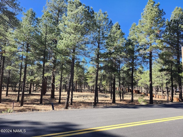 1668 N Transwestern Pump Rd, Bellemont, AZ 86015 - photo 39