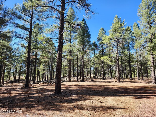 1668 N Transwestern Pump Rd, Bellemont, AZ 86015 - photo 19