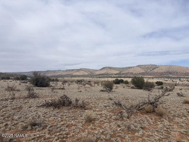 28181 W Foothill Dr, Seligman, AZ 86337 - photo 11