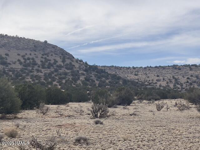 28181 W Foothill Dr, Seligman, AZ 86337 - photo 8