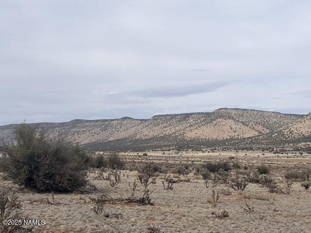 28181 W Foothill Dr, Seligman, AZ 86337 - photo 10