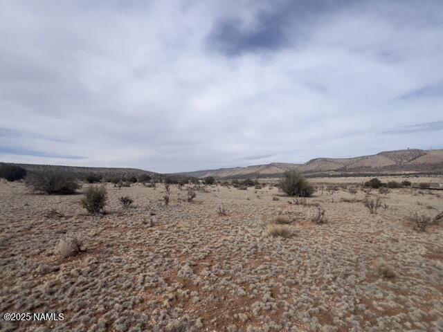 28181 W Foothill Dr, Seligman, AZ 86337 - photo 1