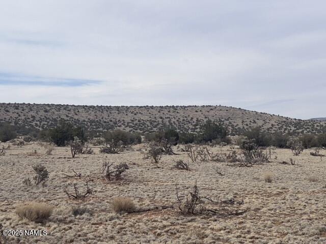 28181 W Foothill Dr, Seligman, AZ 86337 - photo 9