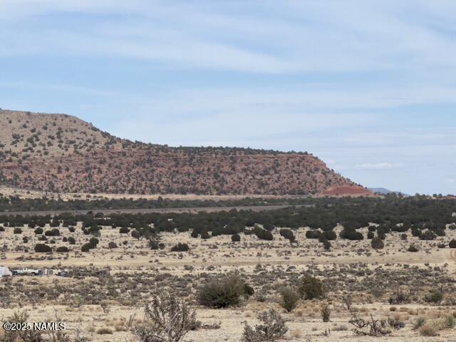 28181 W Foothill Dr, Seligman, AZ 86337 - photo 3