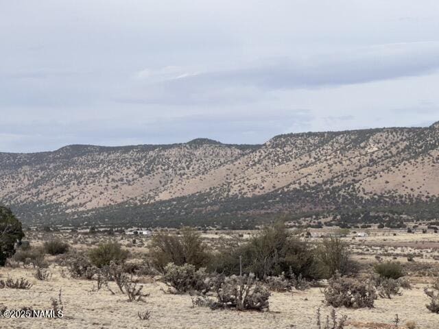 28181 W Foothill Dr, Seligman, AZ 86337 - photo 2