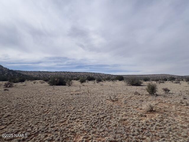 28181 W Foothill Dr, Seligman, AZ 86337 - photo 4