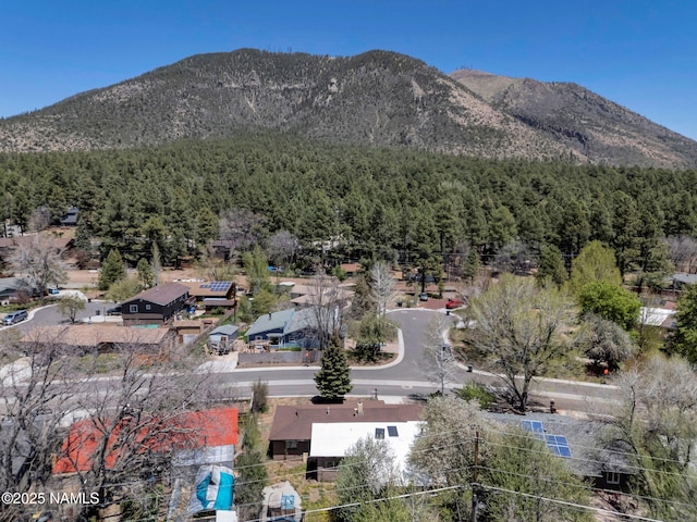 3409 N Grandview Dr, Flagstaff, AZ 86004 - photo 25