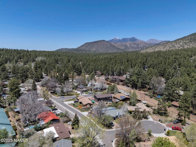 3409 N Grandview Dr, Flagstaff, AZ 86004 - photo 26