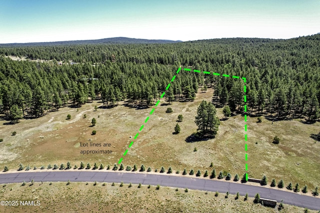 295 E Foxboro Rd, Munds Park, AZ 86017 - photo 2