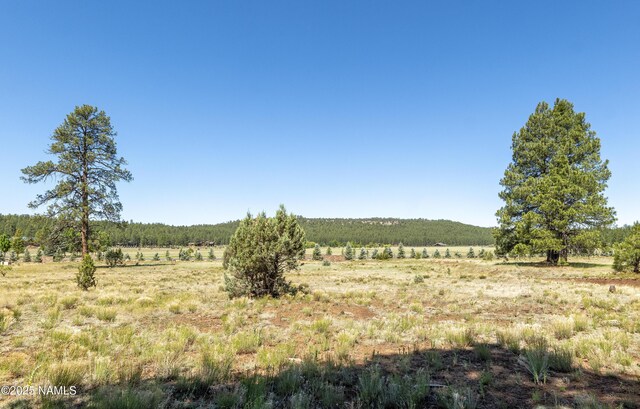 295 E Foxboro Rd, Munds Park, AZ 86017 - photo 9