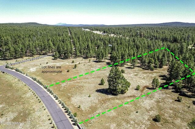 295 E Foxboro Rd, Munds Park, AZ 86017 - photo 17