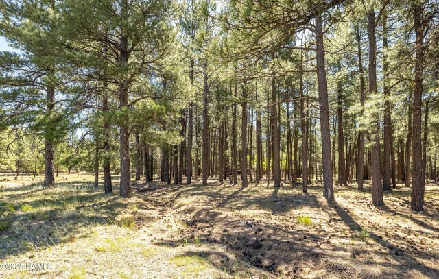 295 E Foxboro Rd, Munds Park, AZ 86017 - photo 5